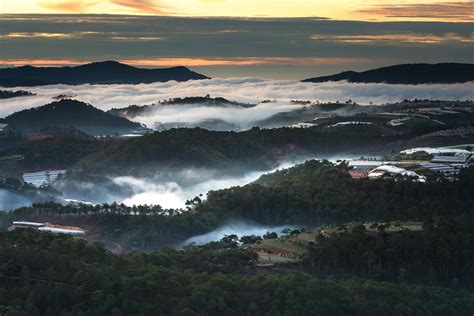 Aerial View Photography of Green Forest · Free Stock Photo