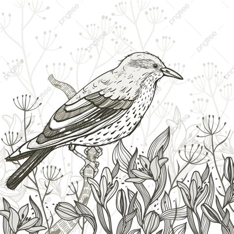 Vector Illustration Of A Bird And Blossoming Flowers The Imitation Of ...