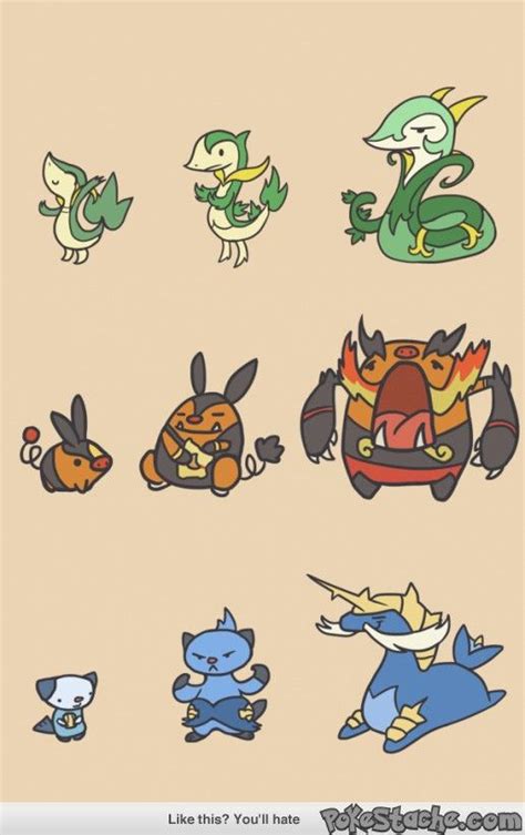 Unova Starters | Pokemon fan art, Pokemon fan, Pokemon pictures