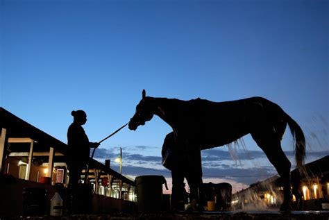 Meet the 18 horses racing in Saturday's Kentucky Derby - UPI.com