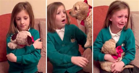 See this girl’s amazing reaction as her stuffed animal transforms into ...