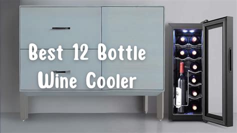 Best 12 Bottle Wine Cooler to Look in 2023