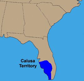 Calusa Indians | History, Culture & Legacy | Study.com