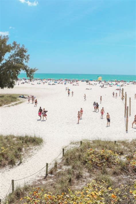 Sarasota County’s beautiful beaches bring lots of visitors to our shores. To help ensure that ...