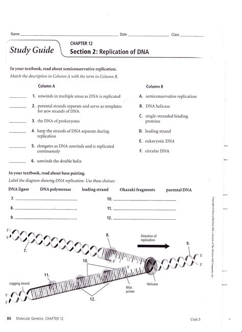 dna structure dna replication animation : Biological Science Picture Directory – Pulpbits.net