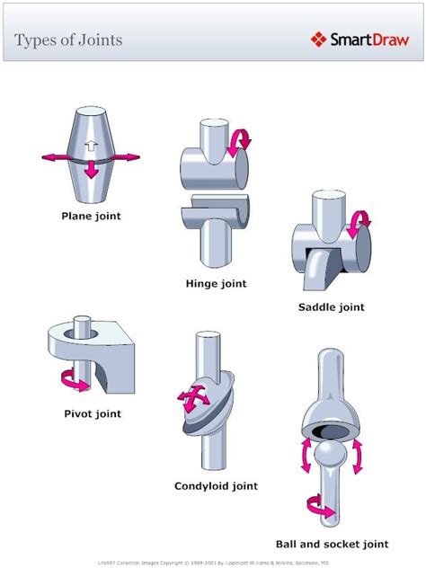 Types of JOINTS of the SKELETAL SYSTEM and how they move. | Mechanic, Anatomy, Joint