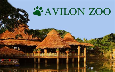 Avilon Zoo Entrance Fee For 2012, Videos ~ Pinoy99 News Daily Updates | Philippines News ...