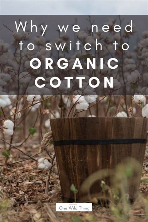 Environmental Impact of Cotton | Environmental impact, Habitat destruction, Environmental problem