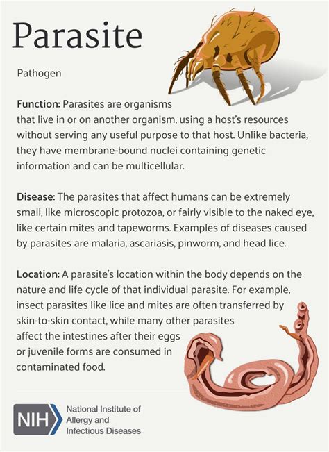 Parasite | Medical laboratory science, Medical student study, Medical ...