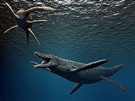 Interesting Facts About Kronosaurus