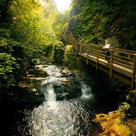 Glenariff Forest Park | Ireland landscape, Beautiful places, Forest park