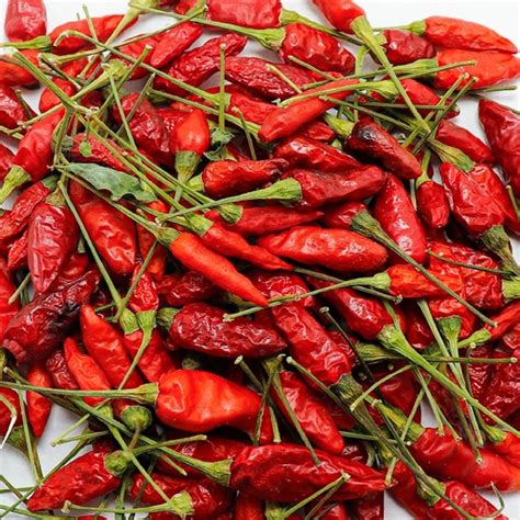 Bird Eye Chili (Kanthari Chili) - Native of Natural