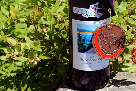 Blueberry Wine - Muskoka Lakes Farm & Winery