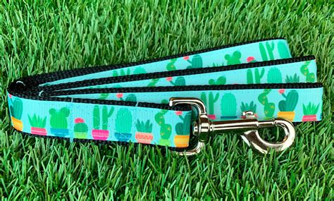 Dog Collar Dog Leash or Matching Set w Teal Green Cactus | Etsy