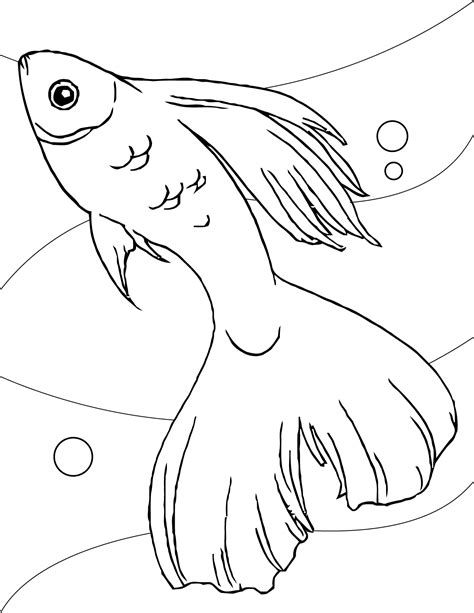 Free Printable Fish Coloring Pages For Kids