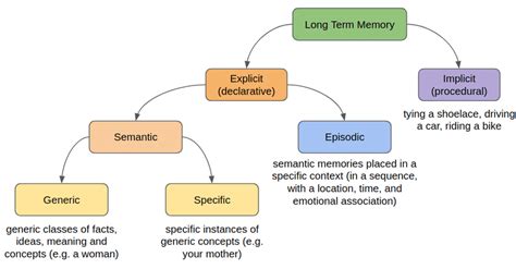 Declarative Memory Chart