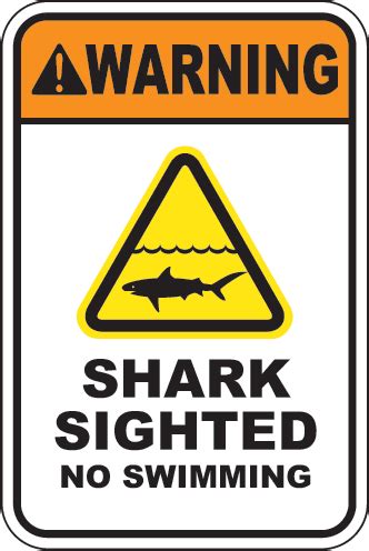 The complete list of beach flags and warning signs | Swimming sign, Shark, Shark decor