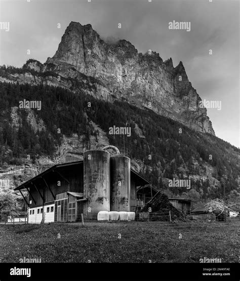 A grayscale of a factory building and forest on mountain in a background Stock Photo - Alamy