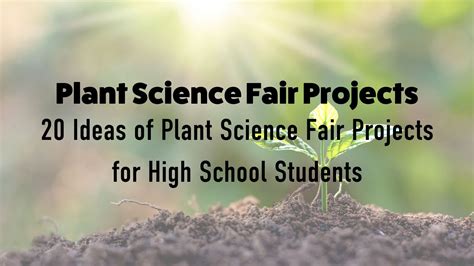 Plant Science Fair Projects: 20 Ideas of Plant Science Fair Projects for High School Students ...