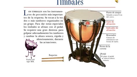 INSTRUMENTOS DE PERCUSIÓN SONIDO FIJO DE UNA ORQUESTA SINFÓNICA ...