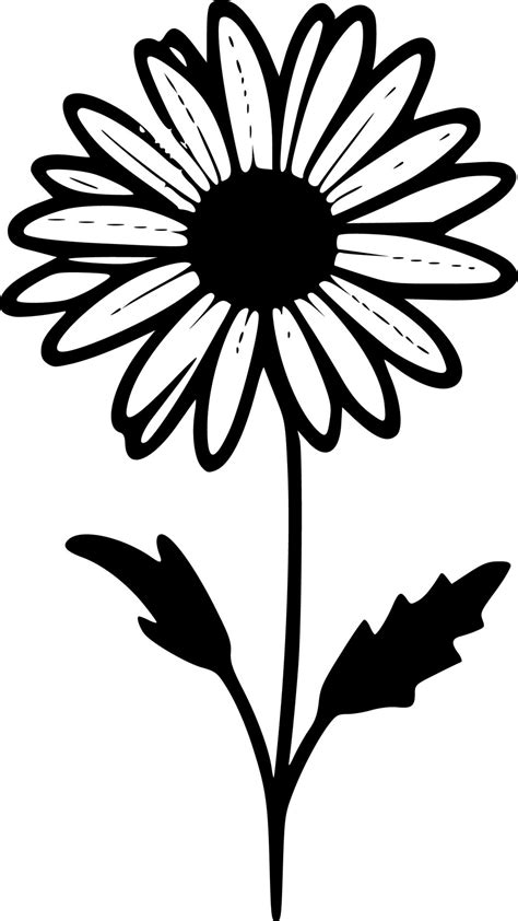 Daisy - Black and White Isolated Icon - Vector illustration 23544018 Vector Art at Vecteezy