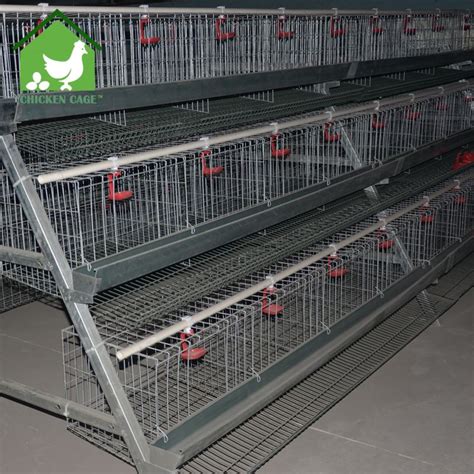 poultry chicken cages New Design egg laying cages for poultry farm ...