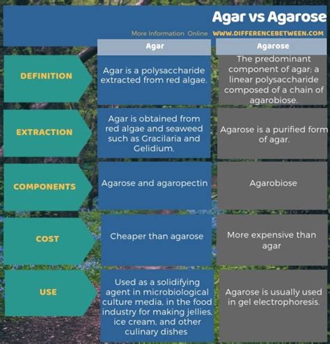 Difference Between Agar and Agarose | Compare the Difference Between ...