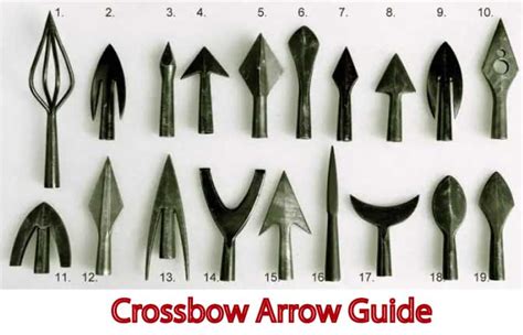 Crossbow Arrow Tips (Bolts) Guide - Shaft, Nock, Point Explained - Pro Crossbows