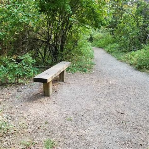 bench in the woods along a hiking trail surrounded by green foliage stock photo by korkyspins ...