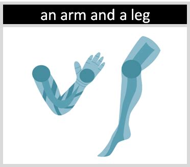 "An Arm and a Leg" | Origin and Meaning