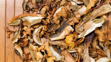 What Are Dried Mushrooms & 10 Dried Mushroom Recipes