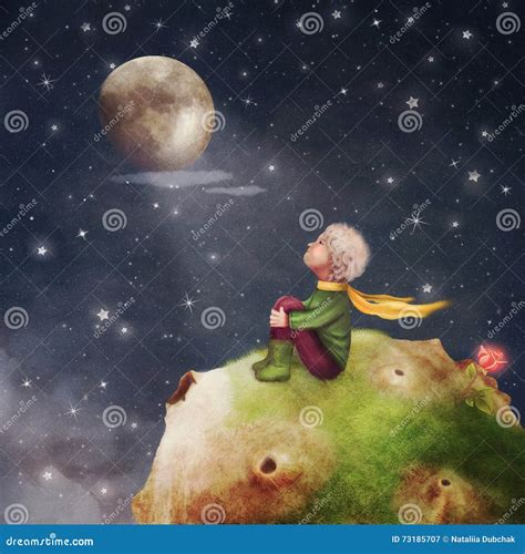 The Little Prince with a Rose on a Planet in Beautiful Night Sky Stock Illustration ...