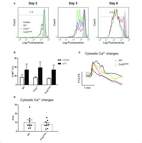 | (A) T-cell proliferation assay showing similar response over time... | Download Scientific Diagram