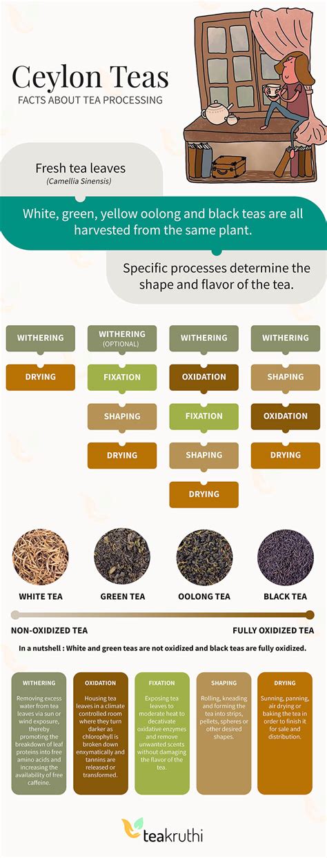 teakruthi | Complete guide to Ceylon tea: Benefits, types & how to drink