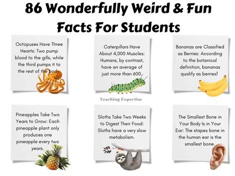 86 Wonderfully Weird & Fun Facts For Students - Teaching Expertise