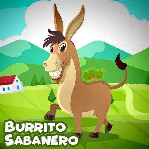 Cancion Mi Burrito Sabanero Remix - Burrito Walls