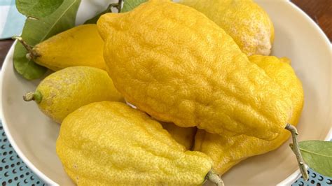 What Is A Citron, And What Does It Taste Like?