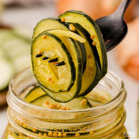 Refrigerator Bread and Butter Pickles - Attainable Sustainable®