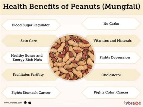 Peanuts (Mungfali) Benefits And Its Side Effects | Lybrate