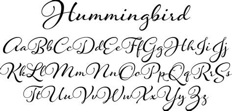 Hummingbird Font by Laura Worthington : Font Bros | Letras tattoo, Letras, Abecedario