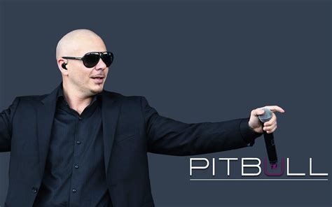 Pitbull Rapper Wallpapers - Wallpaper Cave