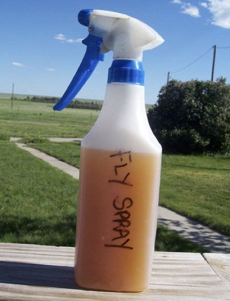 How To Make A Natural Fly Spray | Homestead & Survival | Fly spray, Homemade fly spray, Spray