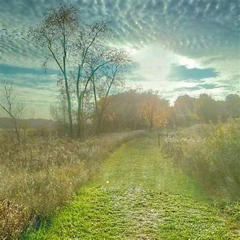 Volo Bog State Natural Area in Ingleside, IL (Google Maps)