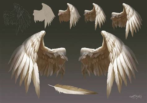 ArtStation - Wings material study, Kudo Artist | Art reference poses, Wings drawing, Art reference