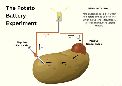 Potato Battery Experiment PDF Download Chemistry for Classroom Cool Science Experiment - Etsy