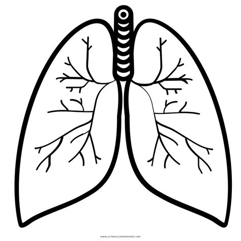 Lung Coloring Page