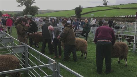 Westmorland County Show returns with a two-day event - BBC News