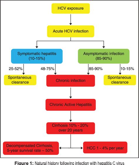 Hepatitis C virus: Screening, diagnosis, and interpretation of ...