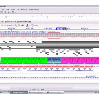 Normal HBB gene retrieved from NCBI website. | Download Scientific Diagram