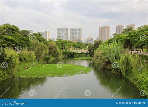 Lake Garden in Xiamen Campus of Huaqiao University, Adobe Rgb Stock Photo - Image of building ...